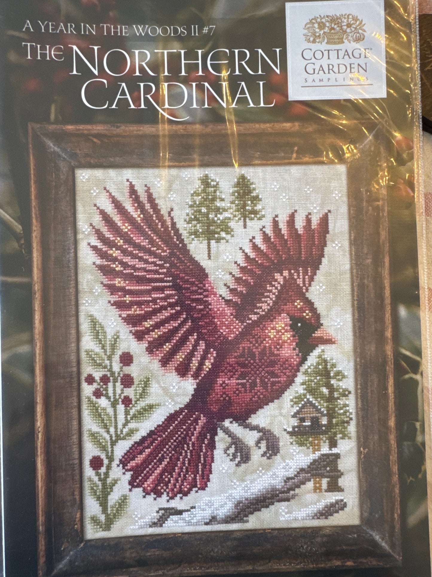 A Year in The Woods - The Cardinal