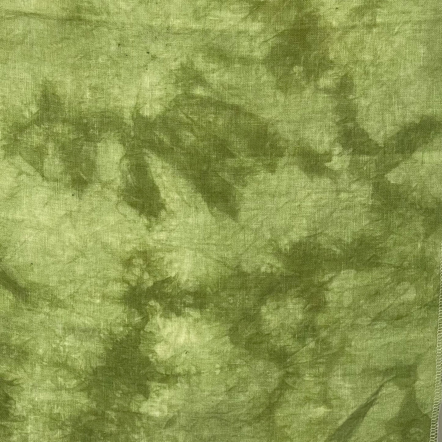 Grasshopper