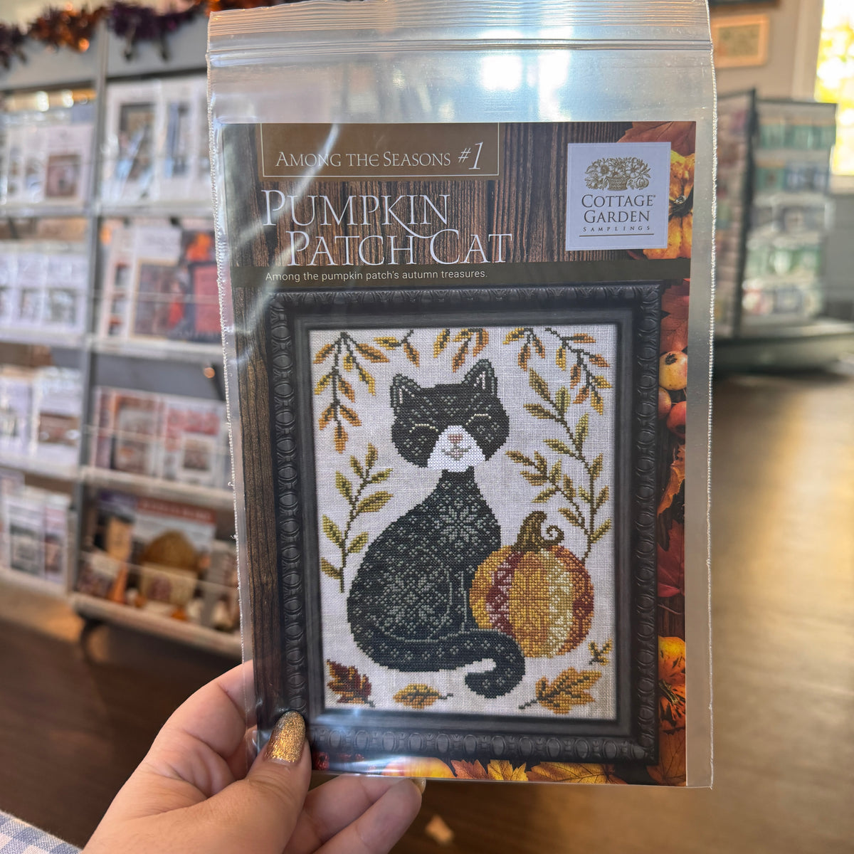 Pumpkin Patch Cat