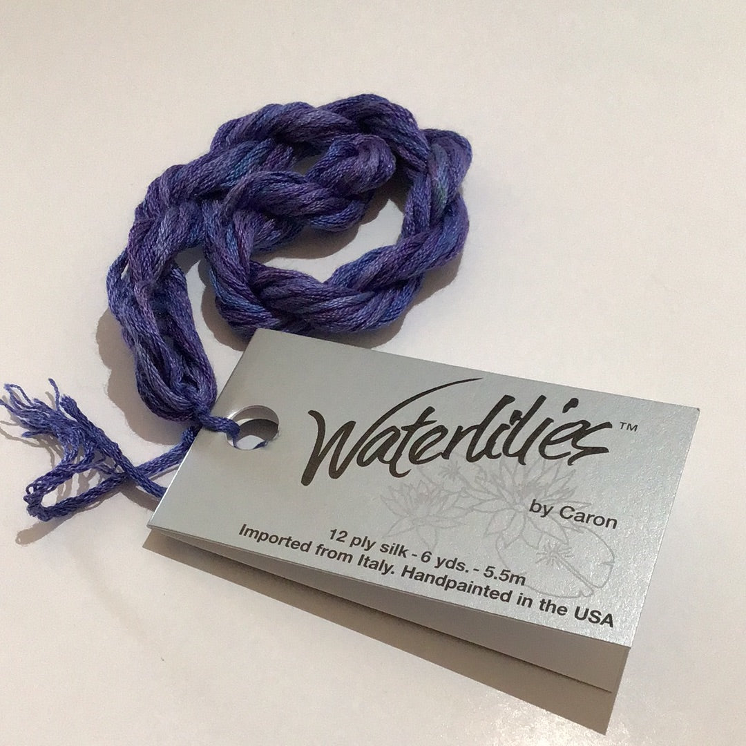 African Violet 232