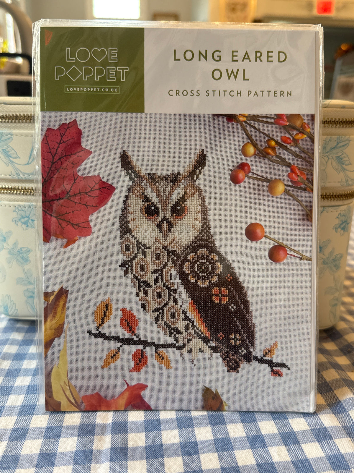 Long Eared Owl
