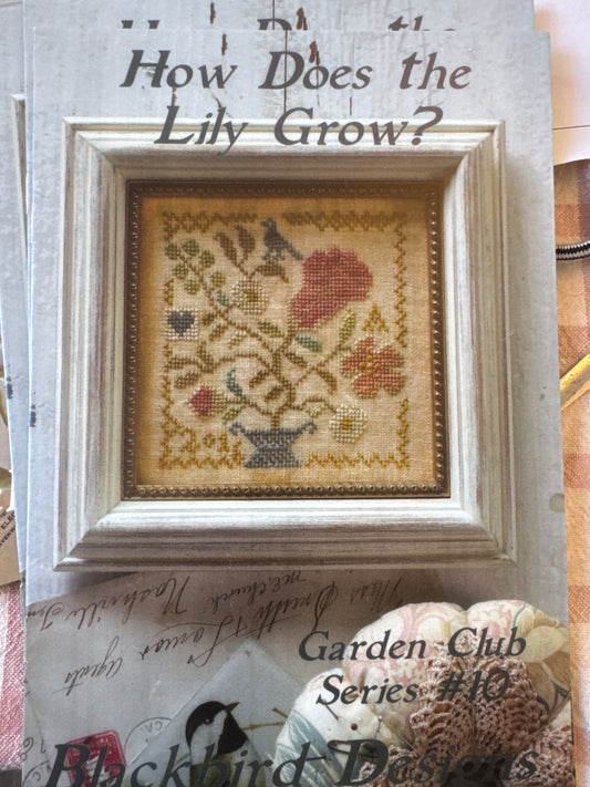 How Does your Lily Grow