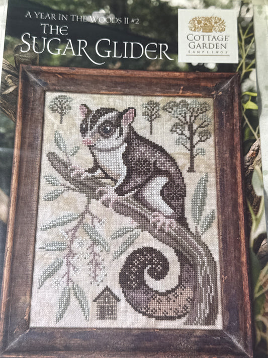 A Year in The Woods - The Sugar Glider