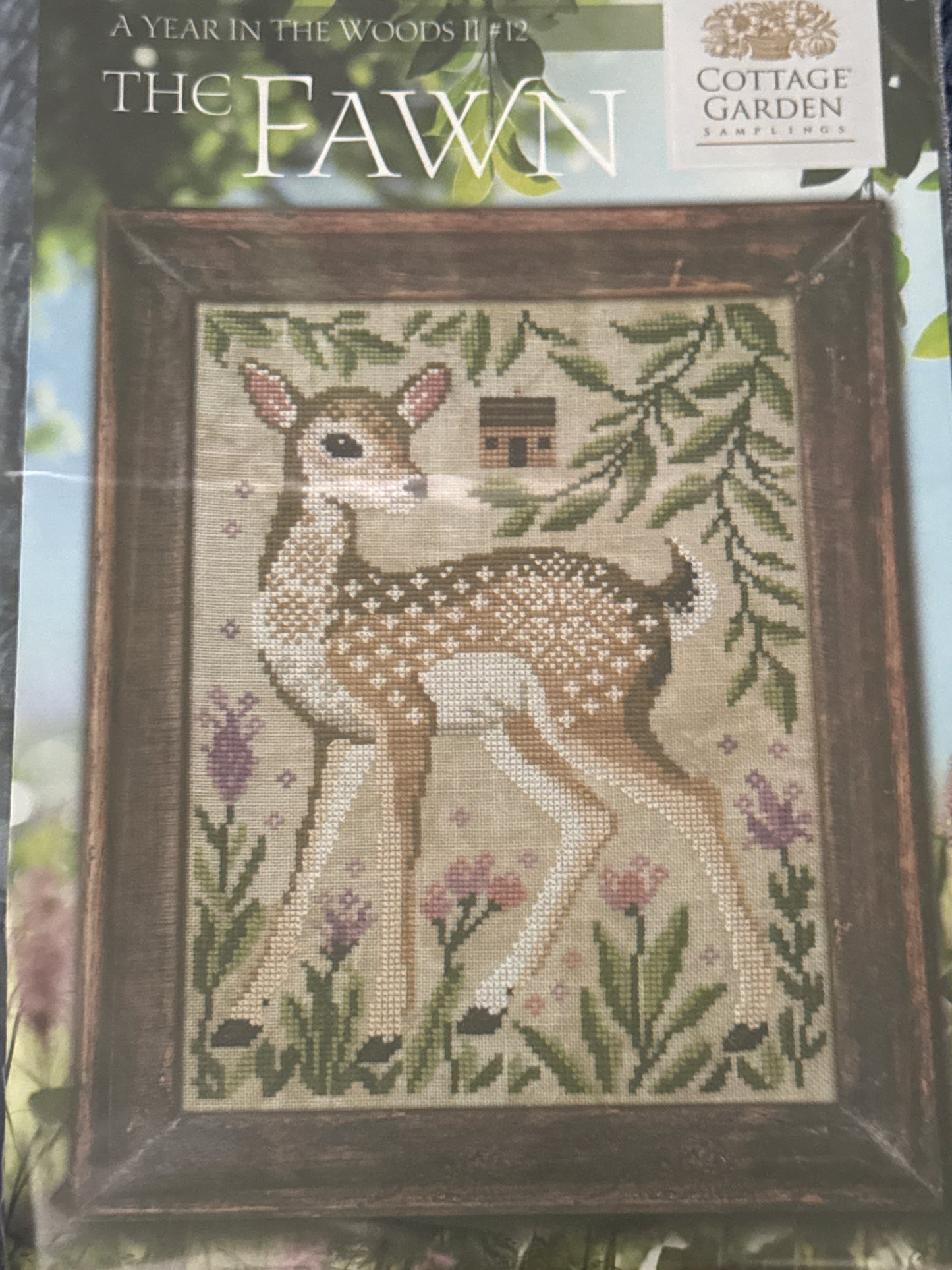 A Year in The Woods - The Fawn