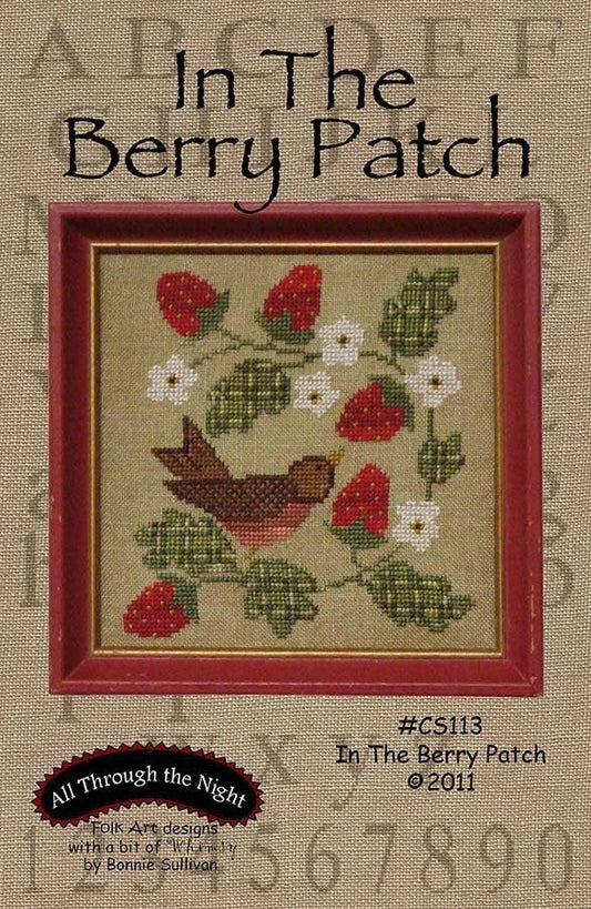 CS113 - In The Berry Patch