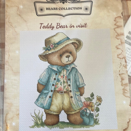 Teddy Bear in visit