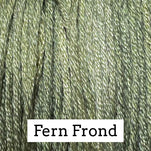 Fern Frond
