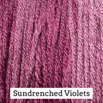Sundrenched Violets