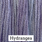 Hydrangea CCW