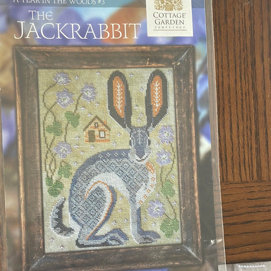 A Year in The Woods - The Jackrabbit
