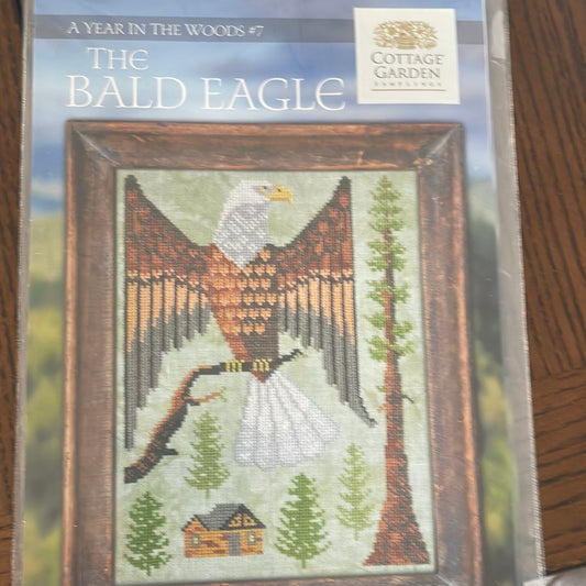 A Year in The Woods - The Bald Eagle